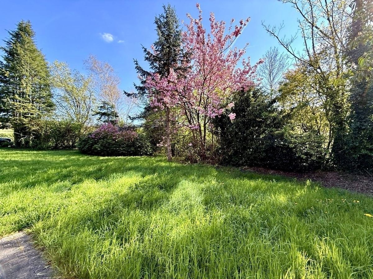 Le jardin dans son état photographié